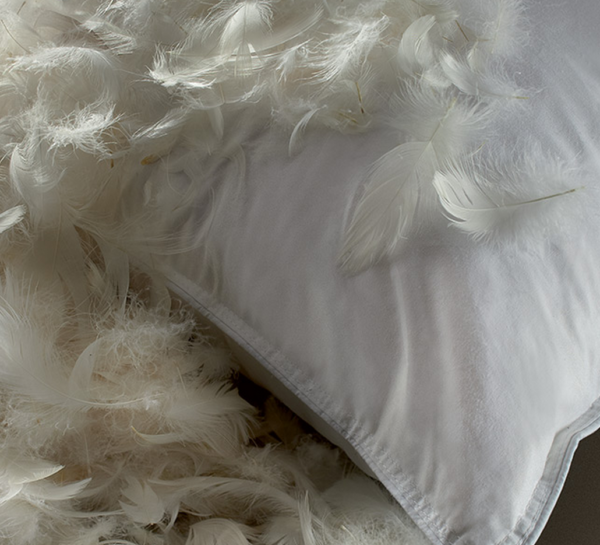 Cuscini Di Piuma - Easton Hotel Supplies - Foto 10