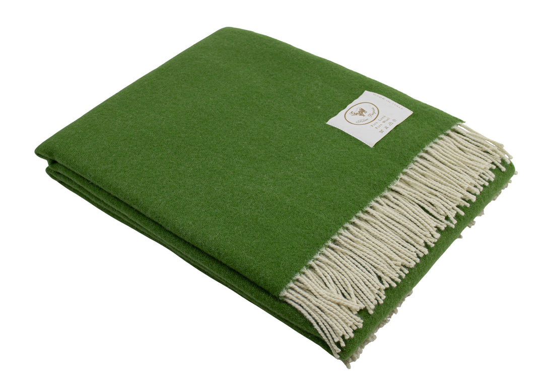 Plaid verde con frange